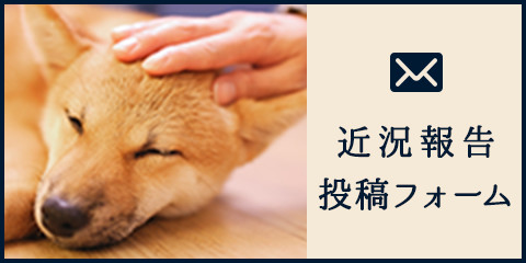 近況報告投稿フォーム