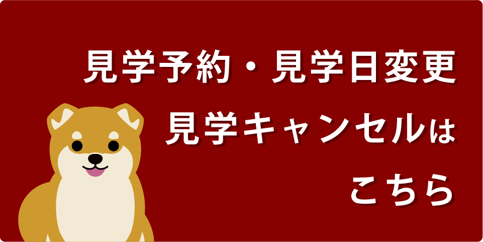 柴犬見学のご予約は
