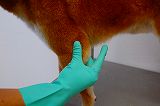 足の関節など毛の薄い箇所の抜け毛処理