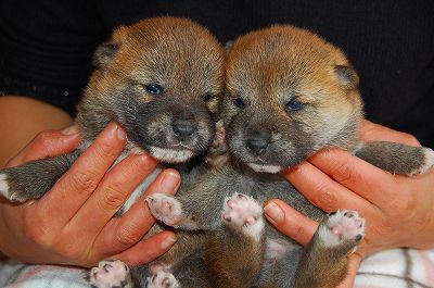 20121213nana-blog(5)