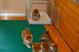 20130123-50-blog (1)