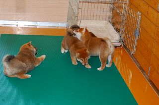 20130123-50-blog (2)
