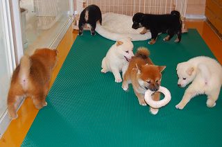 20130630a-a-40 (4)