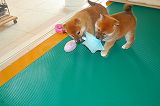 20130630a-b-38 (2)
