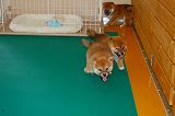 20130630a-b-38 (3)