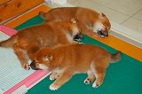 20130630a-b-38 (5)