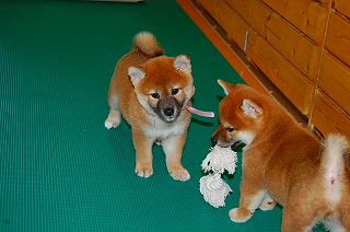 20130717a-a-48 (2)