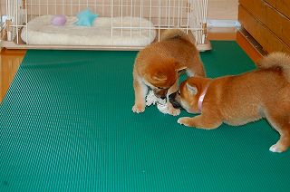 20130717a-a-48 (4)