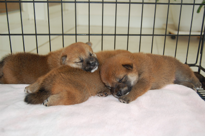 20130802a-a-22 (2)