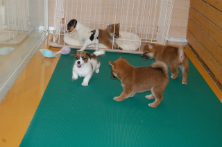 20130802a-a-40 (2)