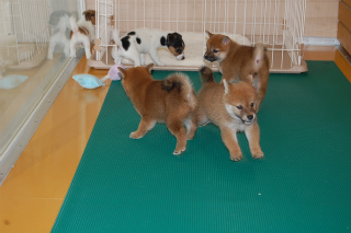 20130802a-a-40 (3)