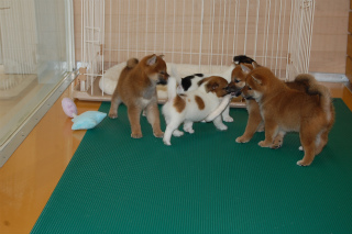 20130802a-a-40 (4)