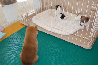 20130802a-a-40 (5)