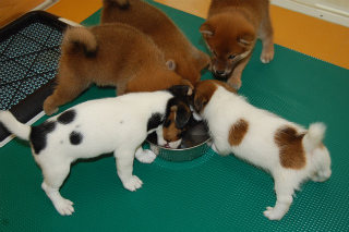 20130802a-a-40 (7)