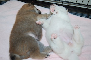 20130924a-a-21(3)
