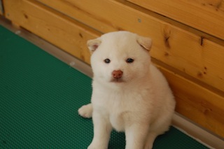 20130924a-a-35(5)