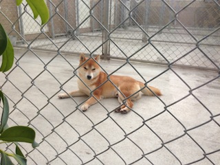 blog20131018-02