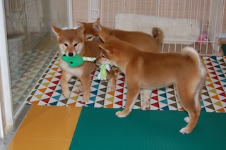 20130802a-a-96(1)