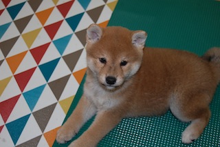20130924a-a-44(3)