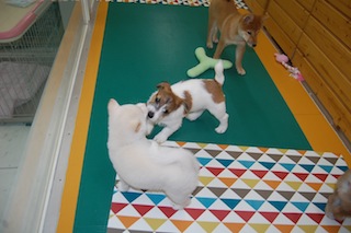 blog20131118(2)