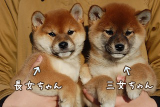 20131129a-a-56(2)