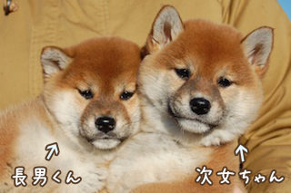 20131129a-a-56(3)