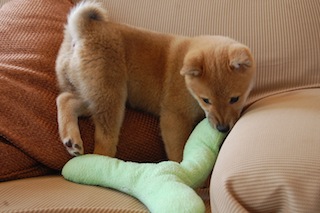 blog20140318(2)