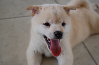 blog20140710(14)