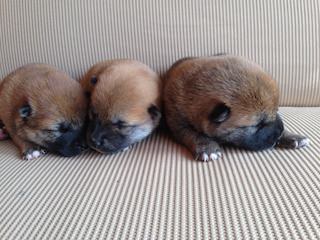 20140909a-k1-7
