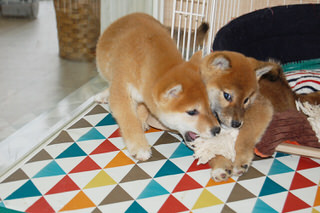 20150205a-a-64(2)
