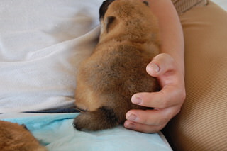 20150415a-a-20(5)