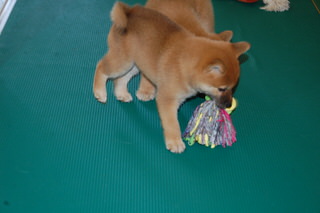 20150415a-a-50(6)