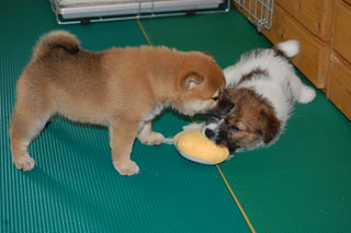 blog_s_20150518(5)