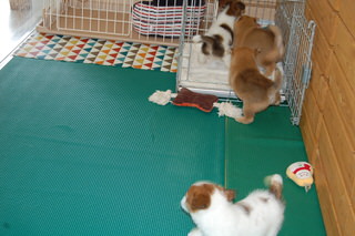 blog_s_20150518(6)