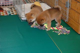 blog_s_20150518(8)