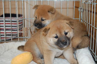blog_s_20150518(9)