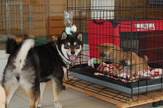owner_s2_20150601(4)
