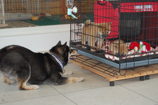 owner_s2_20150601(6)