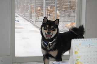 owner_s2_20150601(7)
