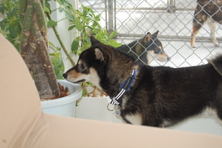 owner_s2_20150601(8)