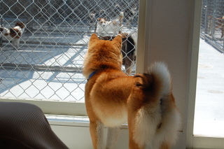 owner_s_20150601(8)