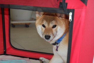 owner_s_20150601(9)