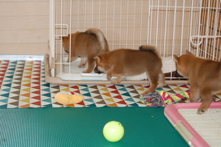 20150704a-a-35(3)