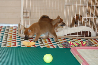 20150704a-a-35(4)