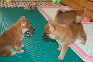 20150704a-a-35(5)