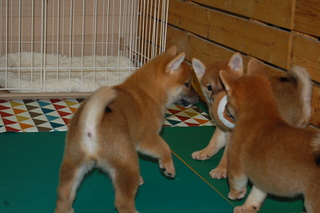 20150704a-a-58(6)