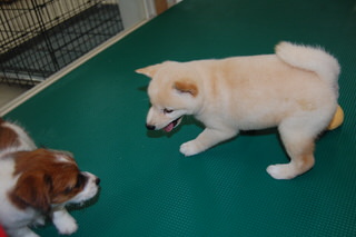 20150722a-a-50(3)