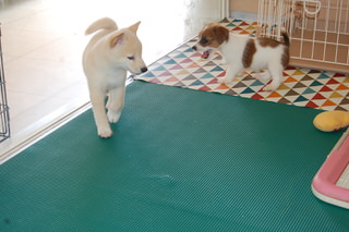 20150722a-a-50(4)