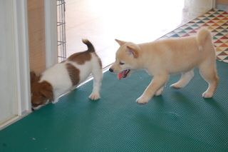20150722a-a-50(5)