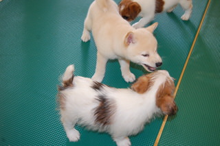20150722a-a-50(6)